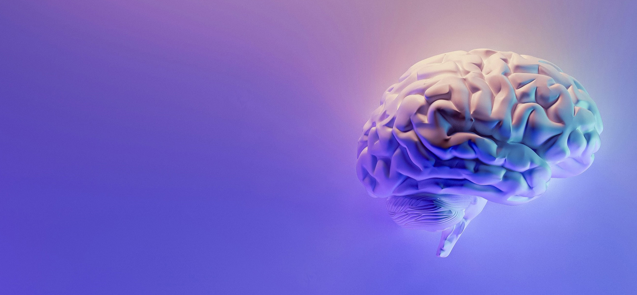 Neuropsychiatry & Mental Health 2025